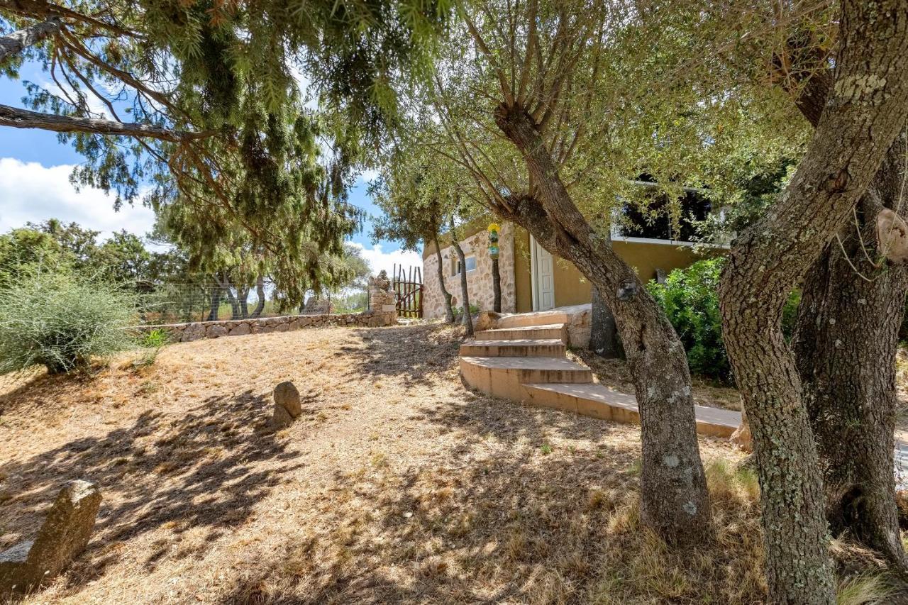 Villa Tre Nibbari San Pantaleo Eksteriør bilde