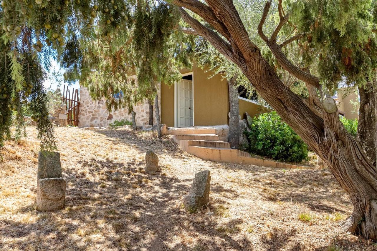 Villa Tre Nibbari San Pantaleo Eksteriør bilde